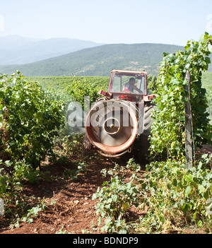 Tractor spraying vineyard field Stock Photo