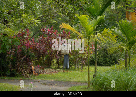 scarecrow park near singapore Stock Photo