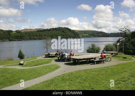 Area of Lake Vyrnwy, Wales. General view of Lake Vyrnwy with a public picnic area in the foreground. Stock Photo