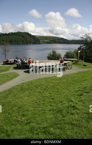 Area of Lake Vyrnwy, Wales. General view of Lake Vyrnwy with a public picnic area in the foreground. Stock Photo