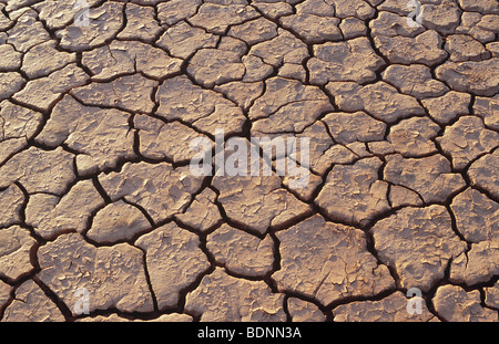 Cracked earth in desert, full frame Stock Photo