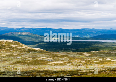 Summer in the mountains above Vinstra, Lillehammer (Gudbrandsdalen), Norway Stock Photo