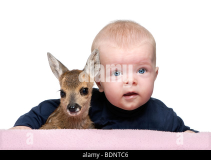 Portrait of baby boy with Fallow Deer Fawn in front of white background, studio shot