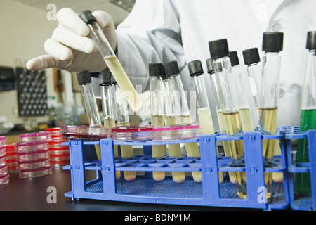 Scientist placing test tubes in a rack Stock Photo
