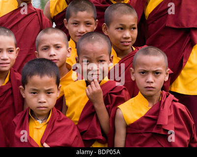 A group of novice Buddhist boy monks in Rewalsar. Rewalsar. Himachal Pradesh. India. Stock Photo