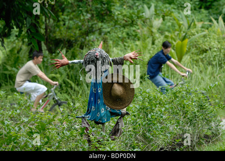 bicyclers and scarecrow on ubin palau island near singapore Stock Photo