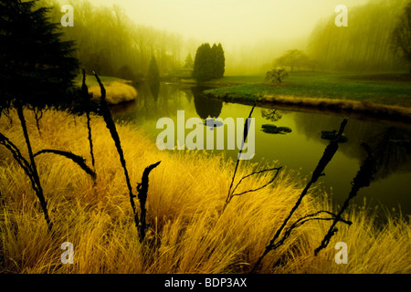 Reflections in a lake on a misty morning Stock Photo