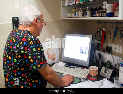 Vet's Clinic, for pets and small animals. Veterinary surgeon in his office. Model release available Stock Photo