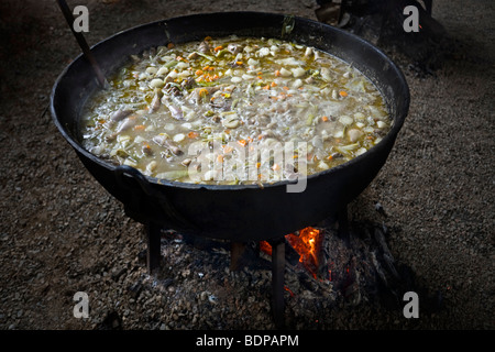Wood fire cooking of a vegetable soup in a pot. Cuisson au feu de bois d'une soupe de légumes dans une marmite. Stock Photo