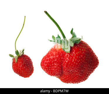 big juicy red ripe strawberries isolated on white Stock Photo - Alamy