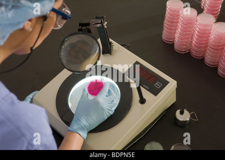 Female scientist examining bacterial colonies in a sample Stock Photo