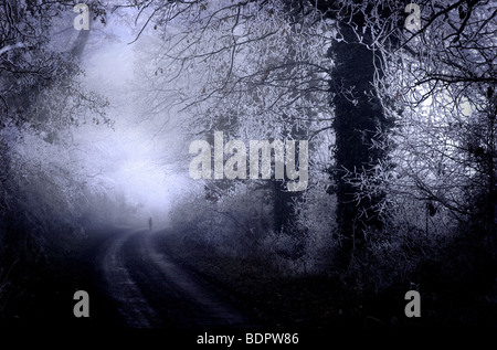 A figure walking alone along a misty lane in winter Stock Photo