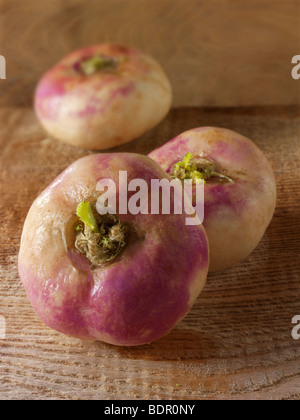 Fresh baby turnips Stock Photo