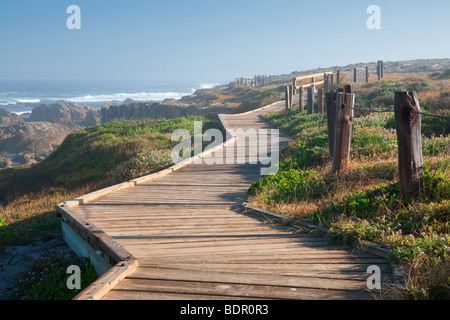 Wooden boardwalk and ocean on 17 Mile Drive. Pebble Beach, California Stock Photo