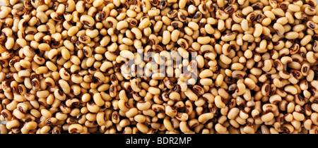 Whole black eyed beans or  black eyed pea - close up full frame top shot Stock Photo