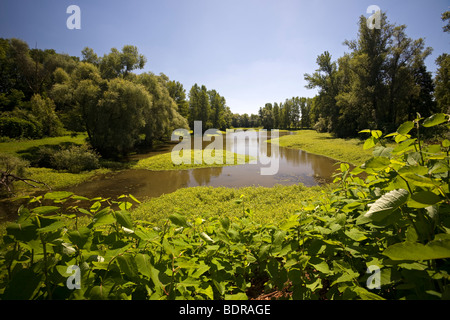 In Summer, a 'Boire' quite near to the Allier river (France). En Eté, une Boire à proximité de la rivière Allier (France). Stock Photo