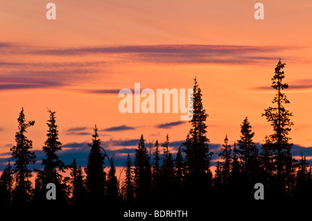 abendhimmel mit abendrot, gaellivare, lappland, schweden, evening sky with afterglow, lapland, sweden Stock Photo