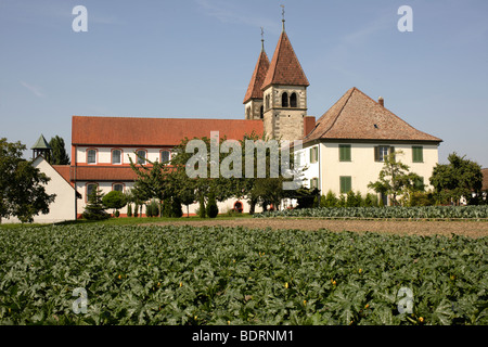 Monastery of St. Peter and Paul in Niederzell, Reichenau Island, Lake Constance, Konstanz district, Baden-Württemberg, Germany, Stock Photo