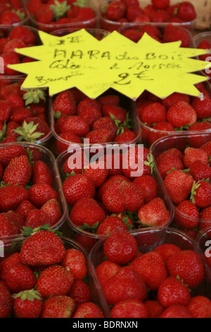 Small local strawberries sold at the weekly market in Lectoure, Gers Stock Photo