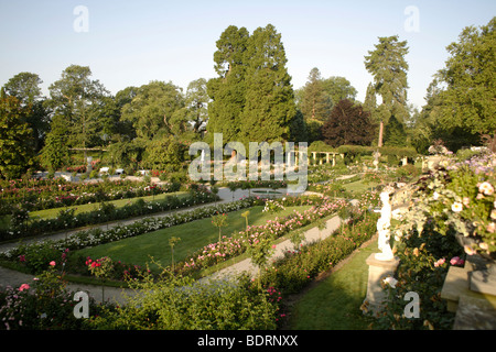 Rose Garden, Mainau Island, Lake Constance, Konstanz district, Baden-Wuerttemberg, Germany, Europe, Europe Stock Photo