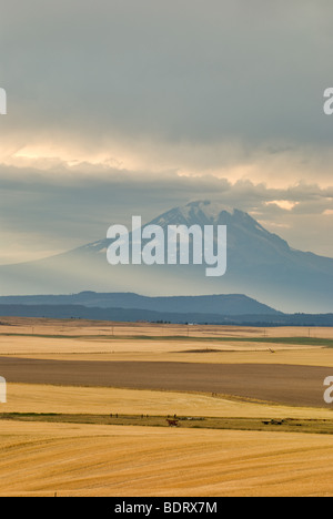 Mt Adams in Washington Stock Photo - Alamy