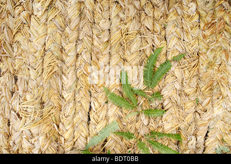 Pahiyas Festival decorations consisting of fruits, flowers and vegetables. Stock Photo