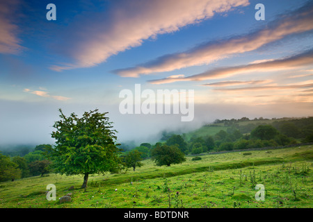 Mist approaches the sloped fields and woodland above the Usk Valley near Llangynidr, Brecon Beacons, Powys, Wales, UK Stock Photo