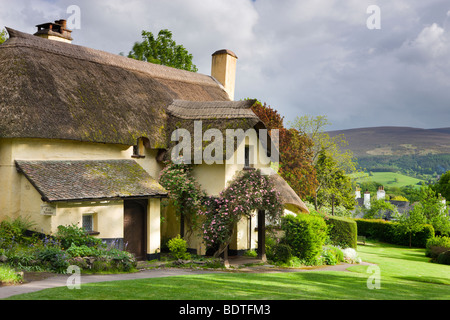 Pretty thatched cottage in the picturesque village of Selworthy, Exmoor National Park, Somerset, England. Spring (May) 2009 Stock Photo