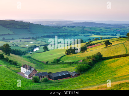 Farm nestled in the Exe valley overlooking the River Exe, Devon, England. Summer (June) 2009
