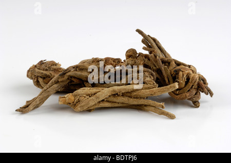 asian dried ayurvedic lumbers alternative medicine Stock Photo