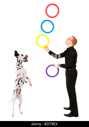 Dalmatian (Canis lupus f. familiaris), standing excited beside an man juggling with a rings Stock Photo