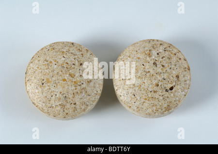 Shiitake Mushrooms. powder in a pill, homeopathy Stock Photo