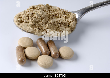 Maitake, dried, pills and powder, homeopathy / (Grifola frondosa) Stock Photo