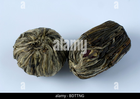 Diffrent Tea flowers, flowers blossom tea, Green Tea, VerschiedeneTeeblumen, Gruener Tee Stock Photo