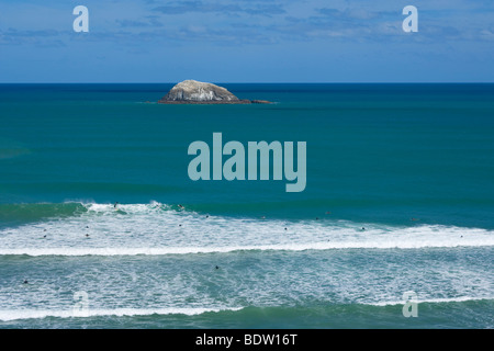 a bunch of surfers waiting for the perfect wave to ride on, Maori Bay, Muriwai Regional Park, North Island, New Zealand Stock Photo