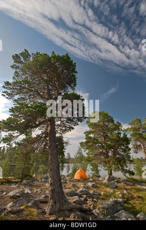 outdoor camping, naturreservat rogen, nature reserve rogen, haerjedalen,  sweden Stock Photo