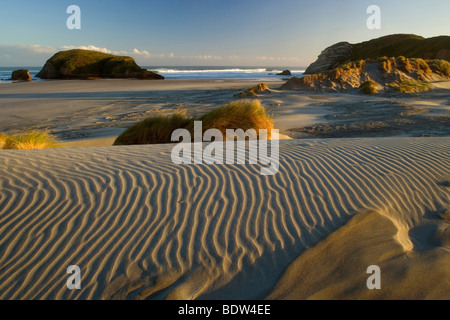 Wharariki beach, new zealand, in first morning light Stock Photo