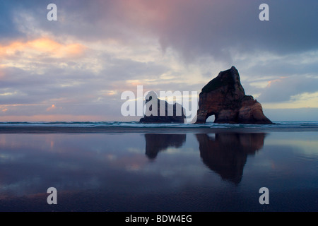 by powerful surf sculpted rock islands with caves and arches at Wharariki beach at sunset, Wharariki Beach, new zealand Stock Photo