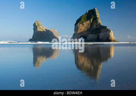 by powerful surf sculpted rock islands with caves and arches at Wharariki beach at sunset, Wharariki Beach, new zealand Stock Photo