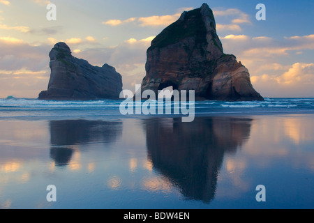 by powerful surf sculpted rock islands with caves and arches at Wharariki beach at sunset, Wharariki Beach, new zealand Stock Photo