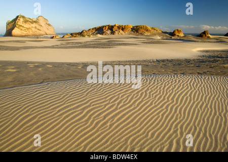 white sand dunes Wharariki beach in first morning light. Wharariki Beach, New Zealand Stock Photo