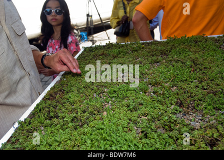 Display of sedum covered vegetation blankets for green roofs Stock Photo