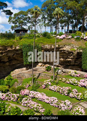 Umpherston Sinkhole Gardens, Mt Gambier, South Australia Stock Photo