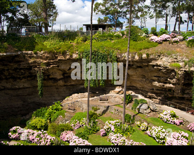 Umpherston Sinkhole Gardens, Mt Gambier, South Australia Stock Photo