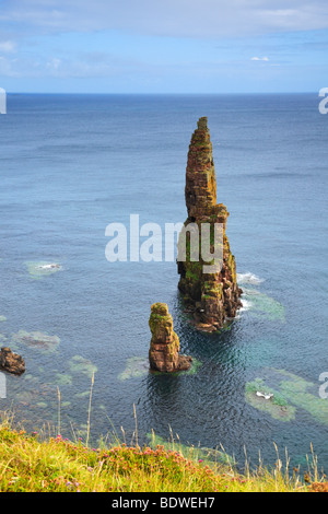 Duncansby stacks off the coast of north east Scotland Stock Photo