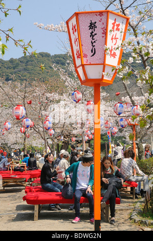 Cherry Blossom Festival in Maruyama Park in Kyoto, Japan, East Asia, Asia Stock Photo