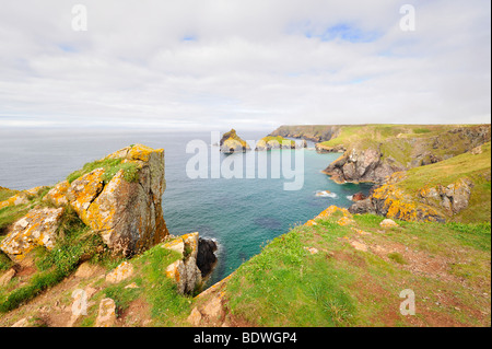 View over Kynance Cove at Lizard Point, Cornwall, England, UK, Europe Stock Photo