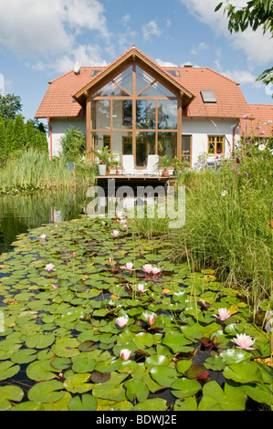 Garden pond with water lilies, in front of house with winter garden, in summer