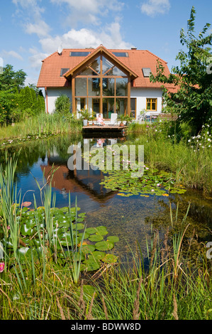 Garden pond with water lilies, in front of house with winter garden, in summer