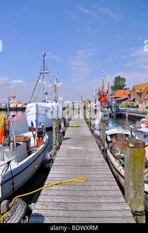Baltic Sea port Maasholm, Schlei estuary, Schleswig-Holstein, northern Germany, Germany, Europe Stock Photo